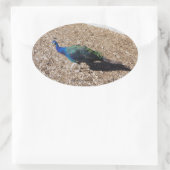 Indische Blauwe Pauw sticker (Tas)