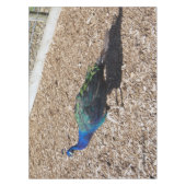 Indische Blauwe Pauw tafelkleed (Voorkant)