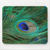 Indische Blauwe Pauwveer Muismat (Voorkant)