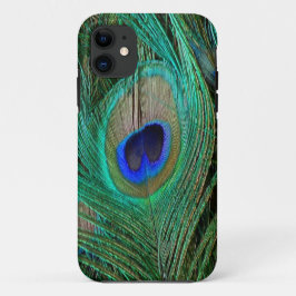 Indische blauwe pekkervaar iPhone 11 hoesje