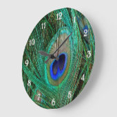 Indische blauwe pekkervaar grote klok (Hoek)