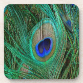 Indische blauwe pekkervaar onderzetter (Voorkant)