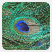 Indische blauwe pekkervaar vierkante sticker (Voorkant)