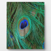 Indische blauwe voetdoek fotoplaat (Voorkant)