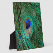 Indische blauwe voetdoek fotoplaat (Zijkant)
