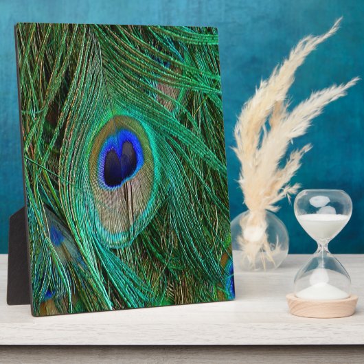 Indische blauwe voetdoek fotoplaat (Zijkant)
