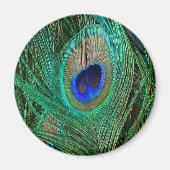 Indische blauwe voetdoek magneet (Voorkant)