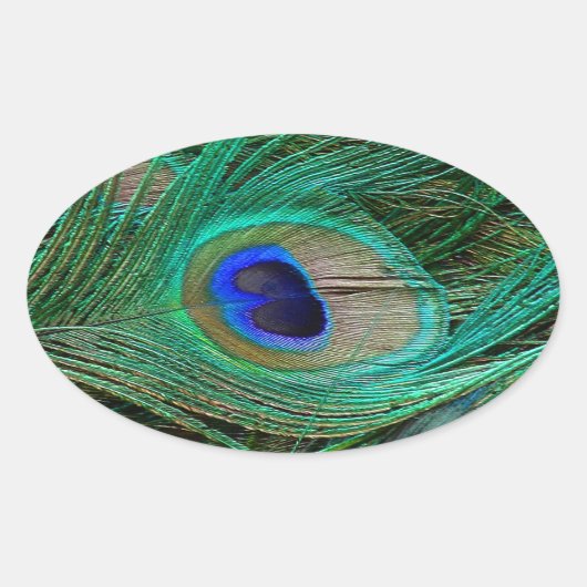 Indische blauwe voetdoek ovale sticker (Voorkant)