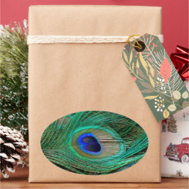 Indische blauwe voetdoek ovale sticker