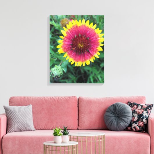 Indische bloem - Texas Wildflower Canvas Afdruk (Insitu (Woonkamer))