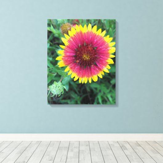 Indische bloem - Texas Wildflower Canvas Afdruk (Insitu (Houten vloer))
