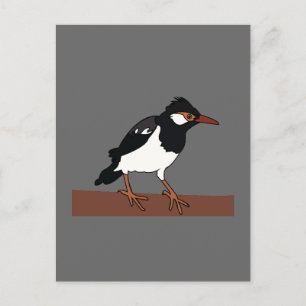 Indische Bonte Spreeuwenvogelkunst Briefkaart