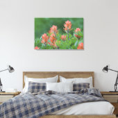 Indische borstel, Castilleja miniata, Ouray, Canvas Afdruk (Insitu (Slaapkamer))