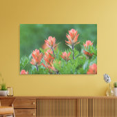 Indische borstel, Castilleja miniata, Ouray, Canvas Afdruk (Insitu (Woonkamer))