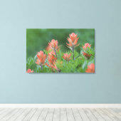 Indische borstel, Castilleja miniata, Ouray, Canvas Afdruk (Insitu (Houten vloer))