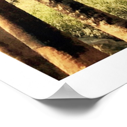 Indische Canyons Palm Springs-reisposter Poster (Hoek)