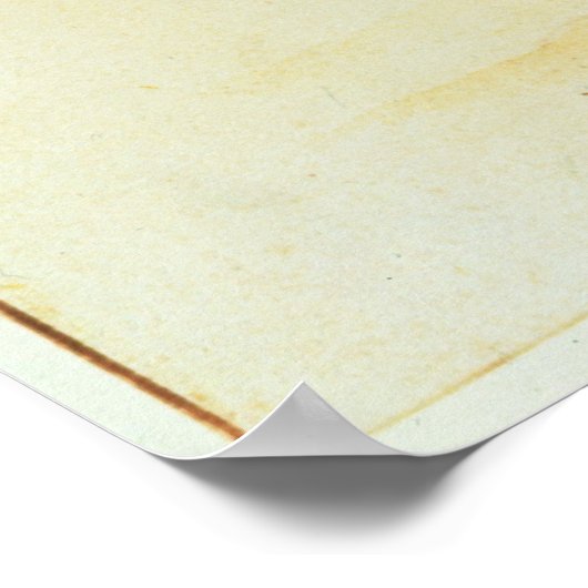 Indische Conjuror Poster (Hoek)