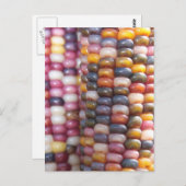 Indische corn briefkaart (Voorkant / Achterkant)