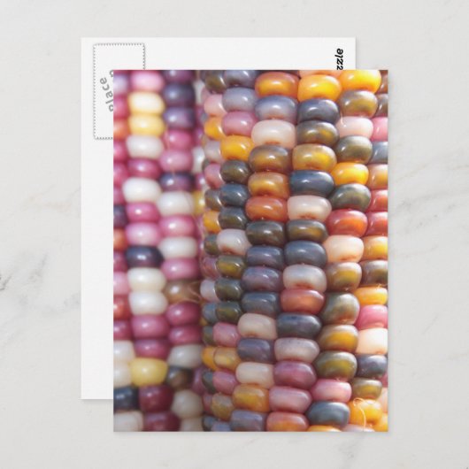 Indische corn briefkaart (Voorkant / Achterkant)