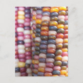 Indische corn briefkaart (Voorkant)