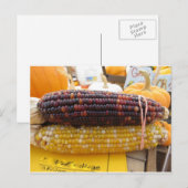 Indische corn briefkaart (Voorkant / Achterkant)