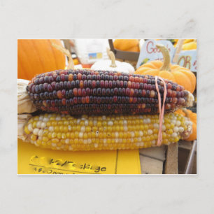 Indische corn briefkaart