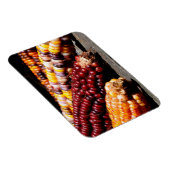 Indische corn magneet (Rechterzijde)