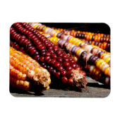 Indische corn magneet (Horizontaal)