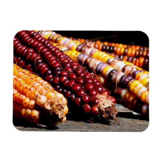 Indische corn magneet (Horizontaal)
