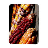 Indische corn magneet (Verticaal)