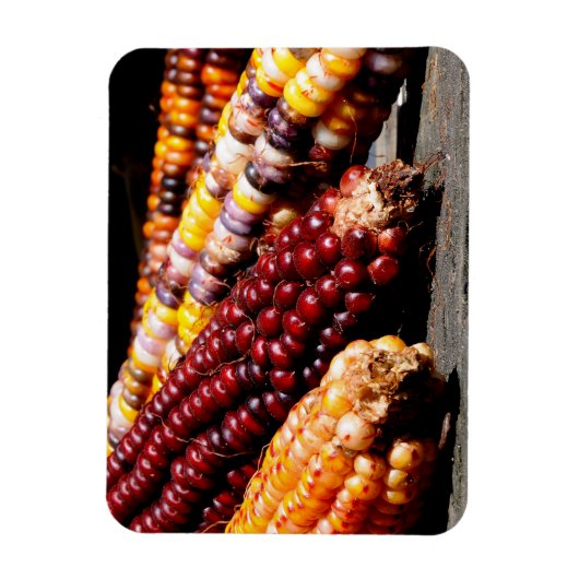 Indische corn magneet (Verticaal)
