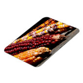 Indische corn magneet (Linkerzijde)