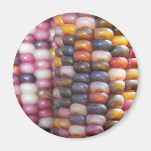 Indische corn magneet