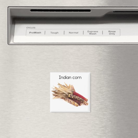 Indische cornkoelkast Magnet (Insitu (Vaatwasser))