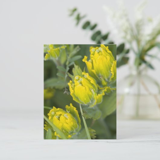 Indische gouden penseel Castilleja Briefkaart (Staand voorkant)