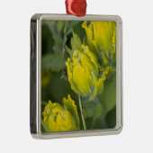Indische Gouden Penseel Castilleja Metalen Ornament (Rechts)