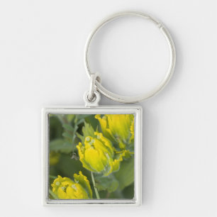 Indische Gouden Penselenkwast Castilleja Sleutelhanger