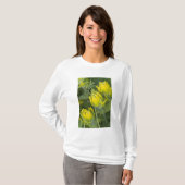 Indische Gouden Penselenkwast Castilleja T-shirt (Voorkant volledig)