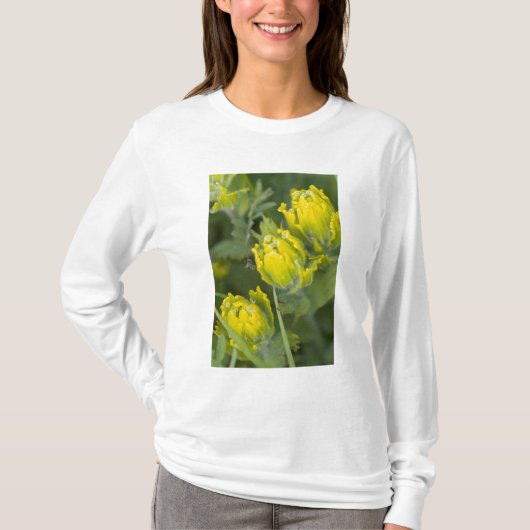 Indische Gouden Penselenkwast Castilleja T-shirt (Voorkant)