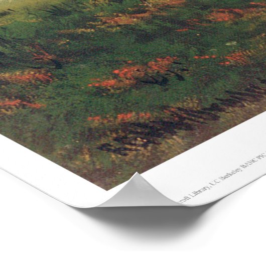 Indische kammen (0716A) Poster (Hoek)