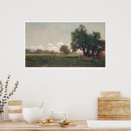 Indische kammen (0716A) Poster (Keuken)