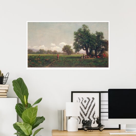 Indische kammen (0716A) Poster (Thuiskantoor)