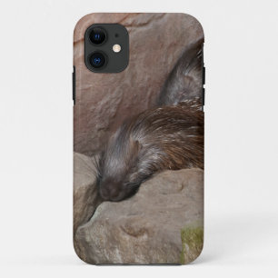 Indische Kuifstekelvarkens Case-Mate iPhone Case