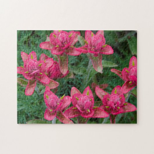 Indische kwastbes legpuzzel (Horizontaal)