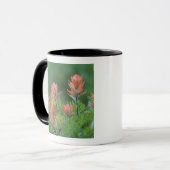 Indische kwastborstel, Castilleja miniata, Ouray, Mok (Voorkant links)