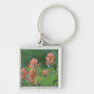 Indische kwastborstel, Castilleja miniata, Ouray, Sleutelhanger