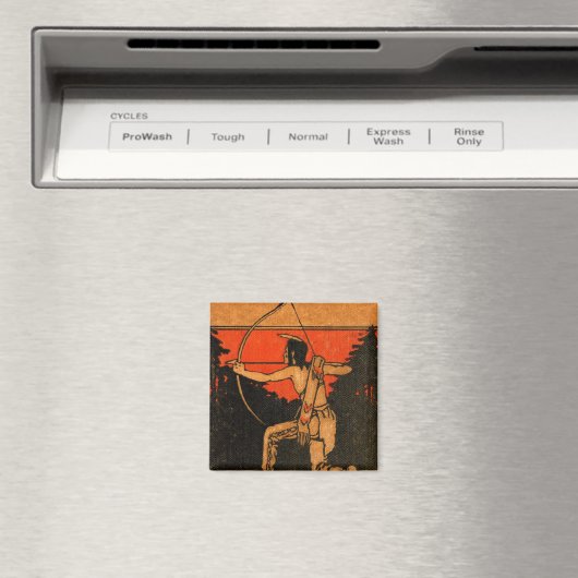 Indische Magnet (Insitu (Vaatwasser))