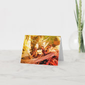 Indische maïs Natuur blanco noot Kaart (Voorkant)