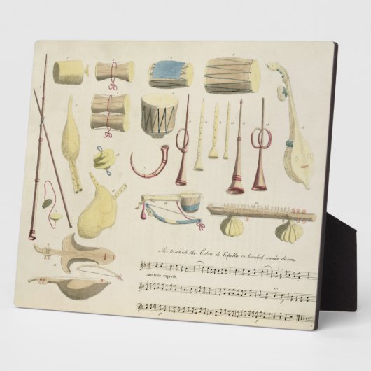 Indische muziekinstrumenten, bord 23 uit Orienta Fotoplaat (Zijkant)