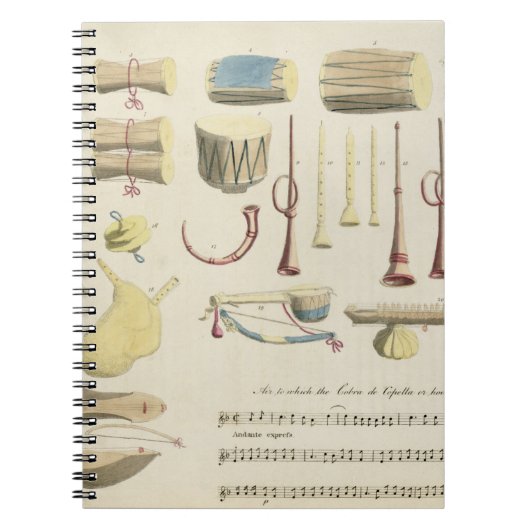 Indische muziekinstrumenten, bord 23 uit Orienta Notitieboek (Voorkant)